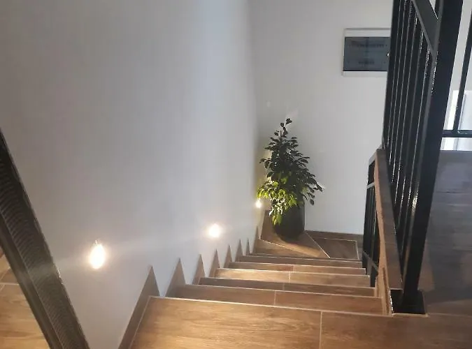 Moet With Garden Lejlighed *