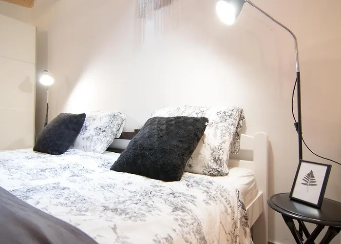 Moet With Garden بولا