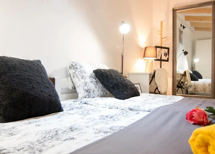 Moet With Garden * بولا