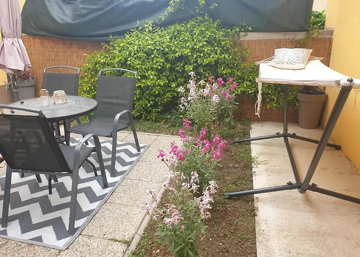 Moet With Garden Pula