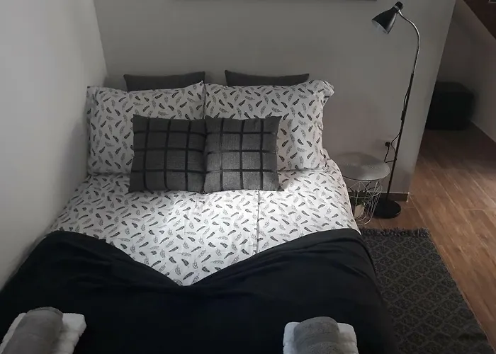 Moet With Garden Pula